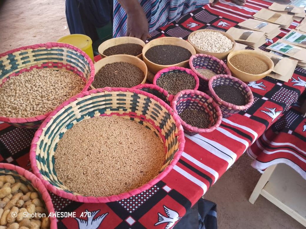 22095a46-910e-4ad7-8664-53b11d49ca59